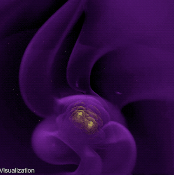 A frame from a simulation of the gravitational wave patter from two black holes of nearly equal mass spiraling around each other 