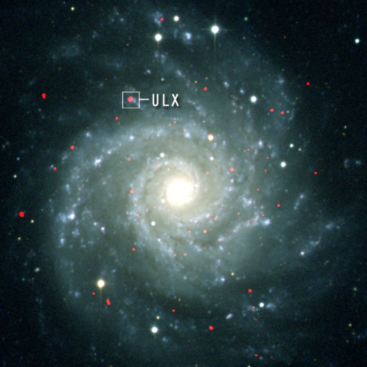 Chandra and optical image of M74