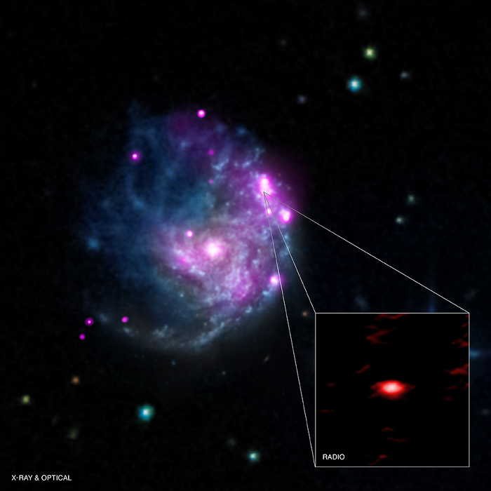 X-ray, optical and radio (inset) image of possible intermediate mass black hole in NGC 2276