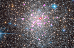 X-ray and optical image of the globular cluster Terzan 5; Terzan 5 CX1 circled in red
