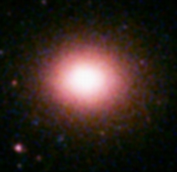 XMM-Newton X-ray data on cluster abundances