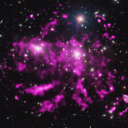 Chandra+optical image of the Coma Cluster
