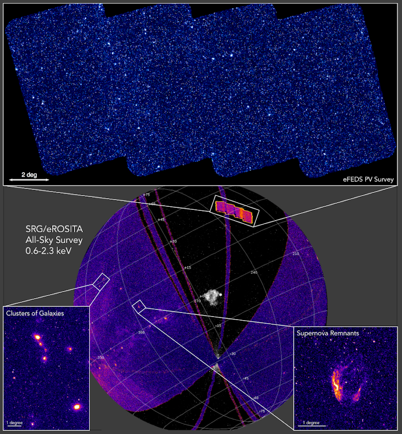 First results from the eRosita All-Sky Survey