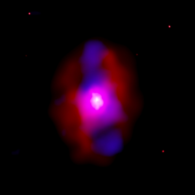 Chandra and VLA image of MS 0735.6+7421