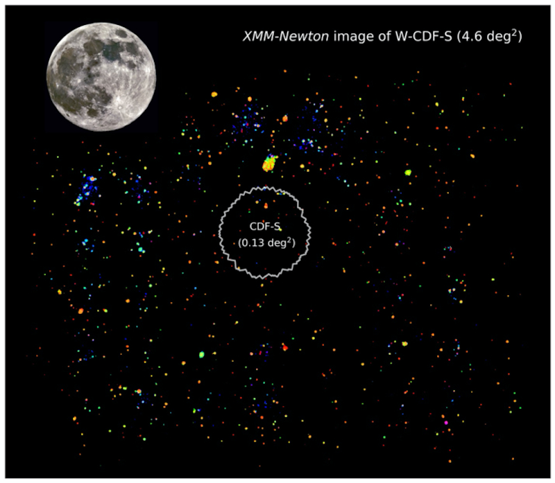 The Wide Chandra Deep Field South, one of the XMM-SERVS fields