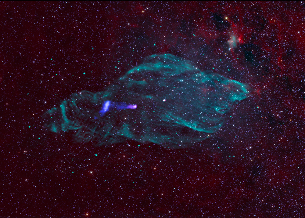 Composite Radio, IR and X-ray image of the Manatee Nebula/SS 433