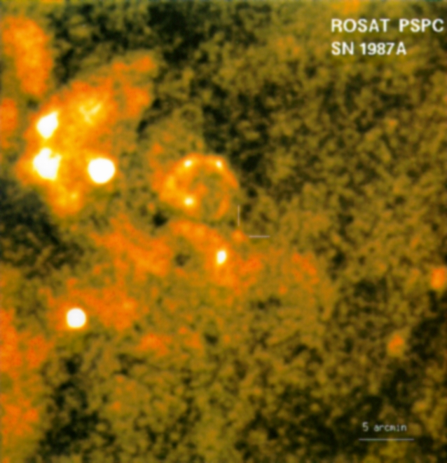 ROSAT first detection of X-rays from SN1987A