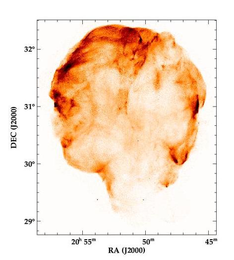 ROSAT HRI Cygnus Loop Image