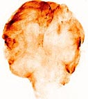 Cygnus Loop image