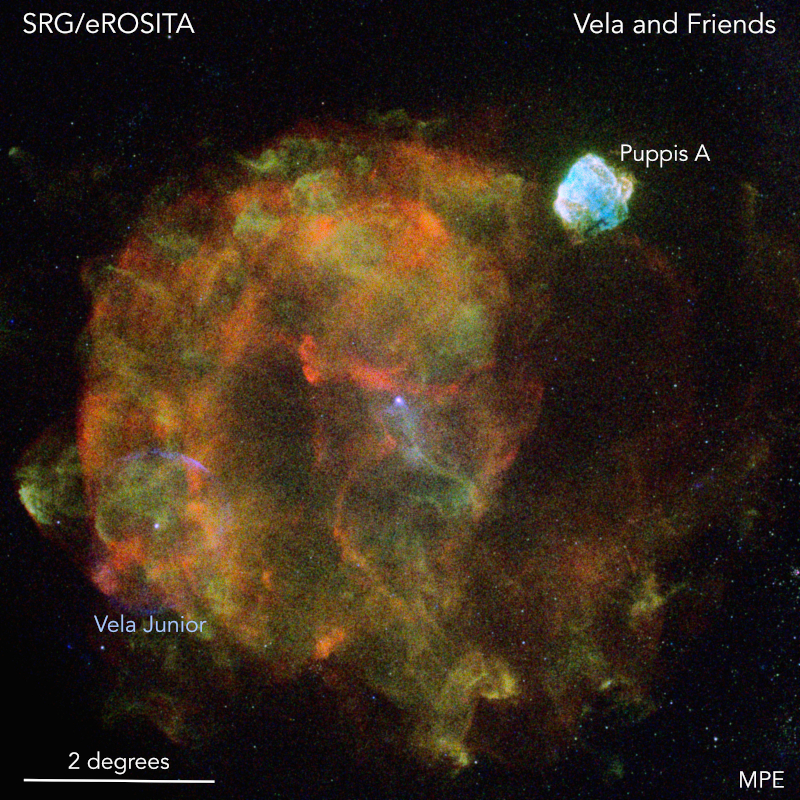 eROSITA image of Vela supernova remnant and associates