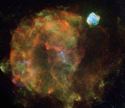 eROSITA image of Vela supernova remnant and associates