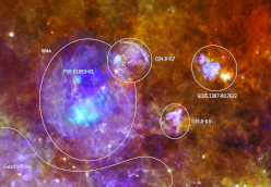 Composite Herschel/XMM-Newton image of the W44 supernova remnant