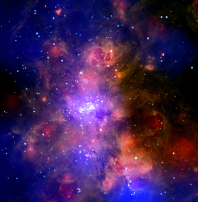 Multiwavelength View of the giant molecular cloud W51