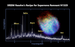 XRISM Resolve high-resolution X-ray spectrum of the N132D supernova remnant