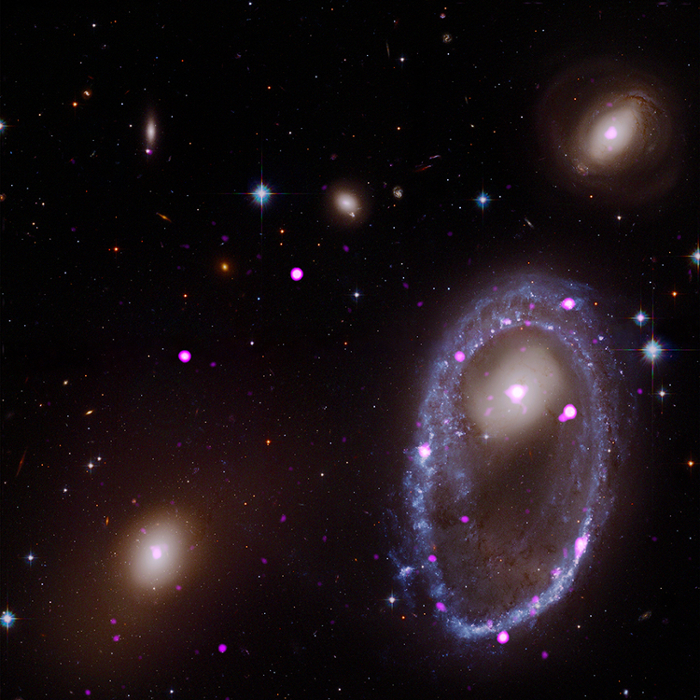 X-ray/optical composite of the ring galaxy AM 0644