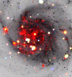 M101 in X-rays and visible light