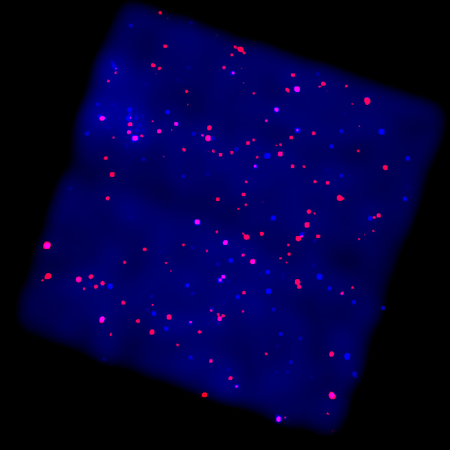 ACIS image of the zone of avoidance