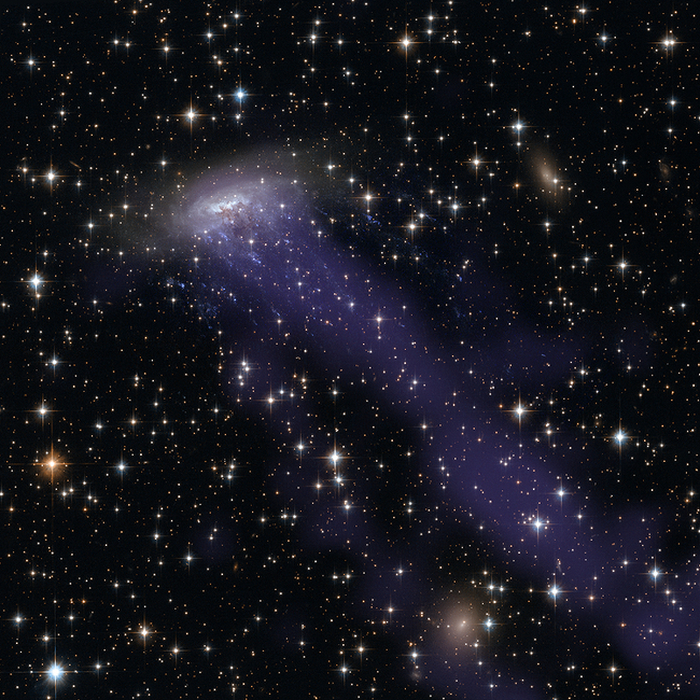 Chandra+HST image of spiral galaxy ESO 137-001