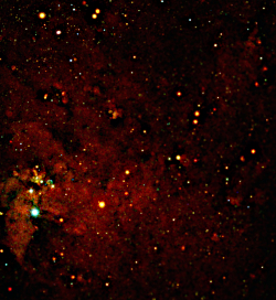eROSITA wide-field X-ray map of the Large Magellanic Cloud