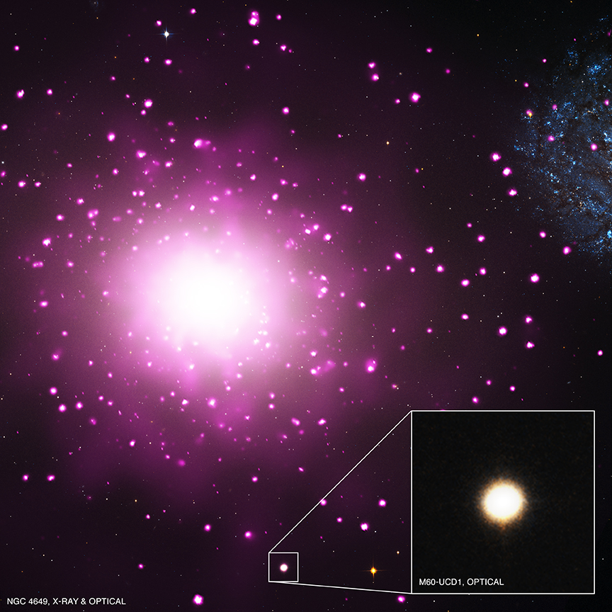 Optical/X-ray observation of M60-UCD1