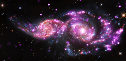 Composite X-ray, Optical and IR image of merging galaxies NGC 2207 and IC 2163