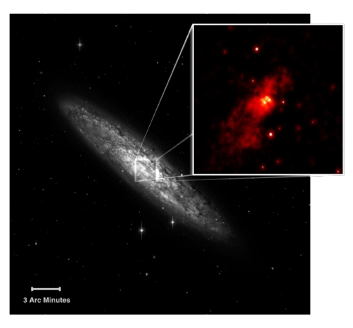 Ultraluminous sources in NGC 253