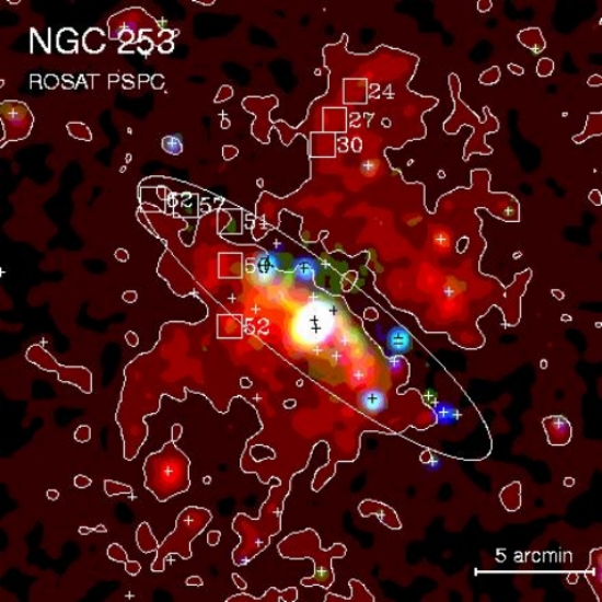 NGC 253 Halo/ROSAT