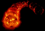 series of images showing the solar cycle in X-rays