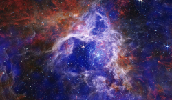 Chandra X-ray and JWST IR image of the Tarantula Nebula, 30 Dor