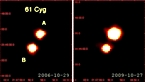 XMM Newton observes X-ray variability of 61 Cyg A