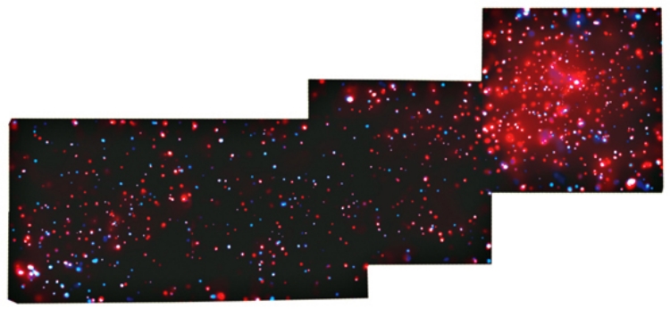 CHANDRA/Rosette Nebula