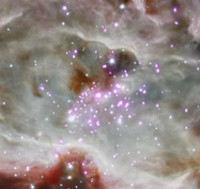 Chandra X-ray and Sptizer IR image of NGC 2024