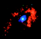 Chandra Image of the Homunculus Nebula