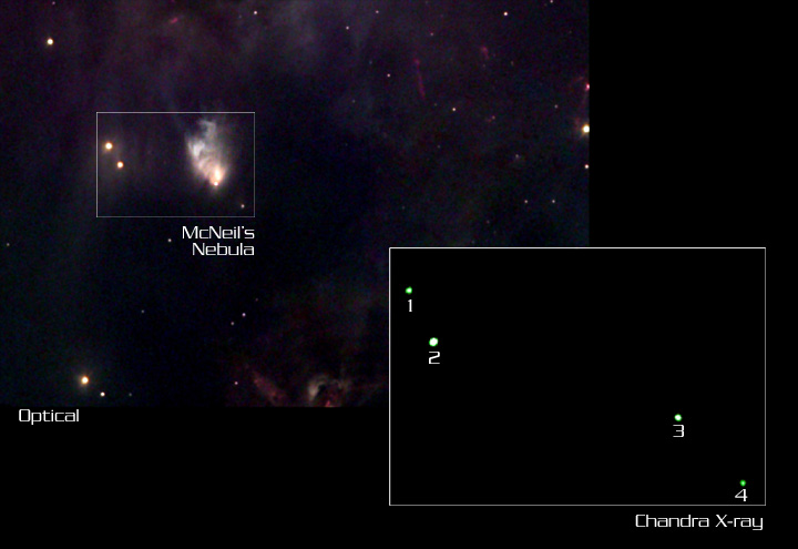 Optical and Chandra images of McNeil's Nebula