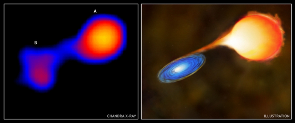 Chandra observation of Mira and Illustration
