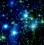 Multiwavelength Quintuplet cluster