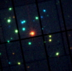 XMM image of rho oph star forming region (right) and lightcurves (left)