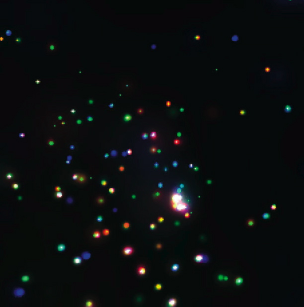 Chandra multi-color image of the Trifid Nebula