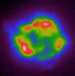 IXPE first light false-color X-ray image of the Cas A supernova remnant