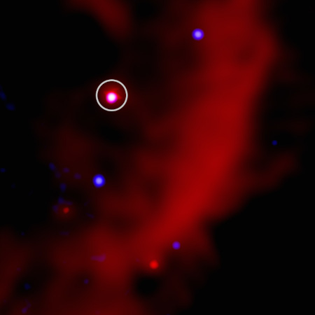 X-ray and radio composite of the LPT ASKAP J1832