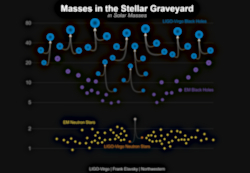 Masses in the Stellar Graveyard