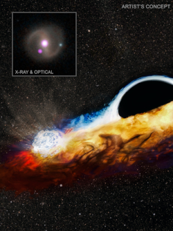 Artist concept of a compact object smashing through the disk around a black hole left behind by a shredded star