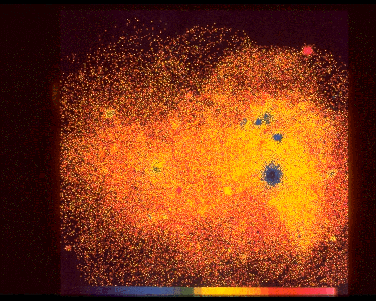 LMC in X-ray Colors