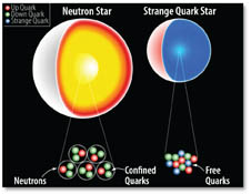 Neutron Star and Strange Quark Star