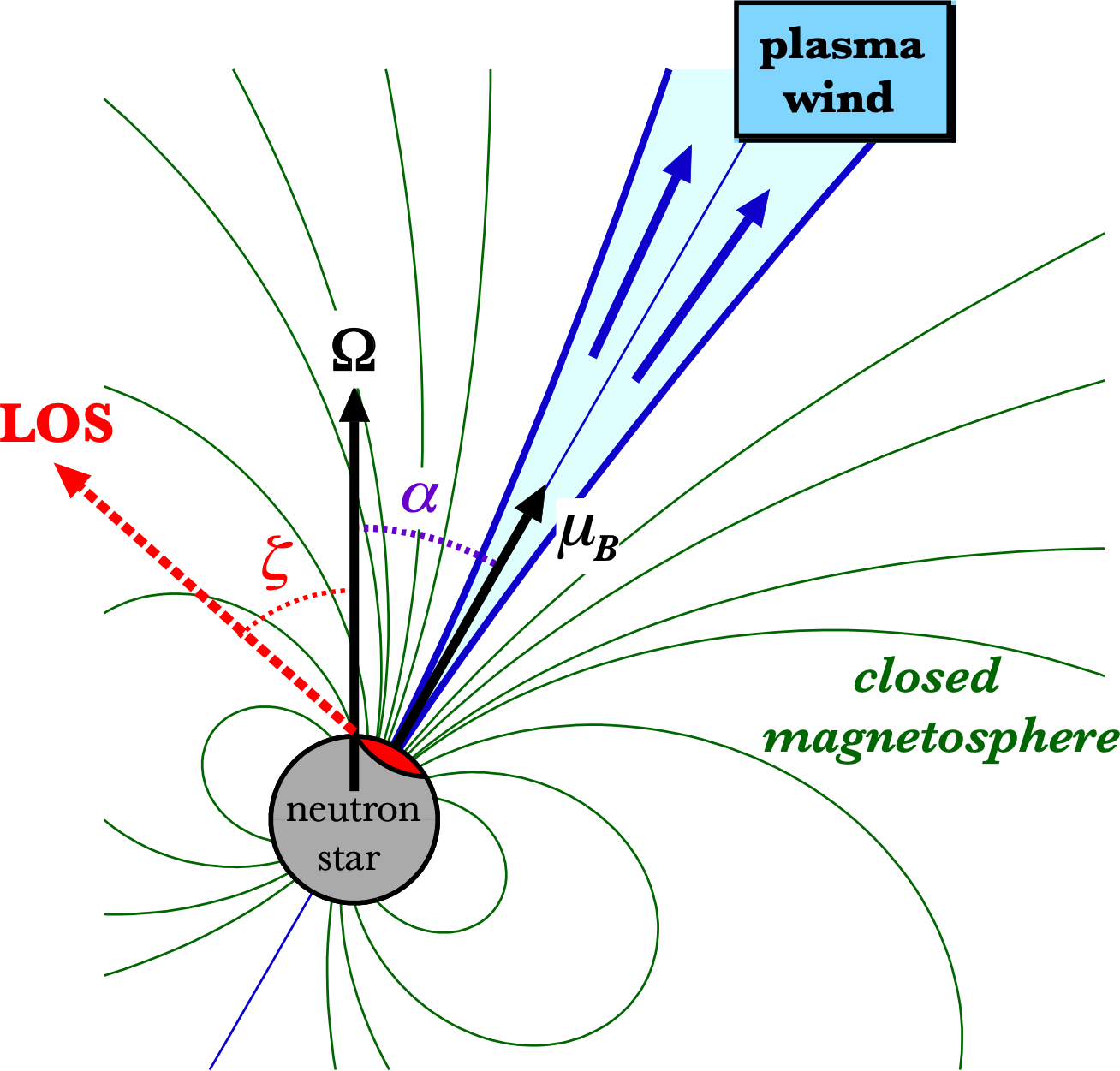 Sketch of the magnetar's field geometry and hypothesized plasma wind responsible for the radio bursts and persistent emission seen a few days after the spin glitch. Indicated angles are α between the neutron star's magnetic (μB) and rotation (Ω) axes, and ζ between Ω and the observer's line of sight (LOS, which is fixed while the μB vector rotates about Ω). The hot magnetic polar cap that produces the observed thermal X-ray pulsations is shown in red, closed (approximately dipolar) magnetic field lines are shown in green, and 'open' field lines are shown in blue; the latter are thought to be highly twisted under normal circumstances, suppressing particle flows and radio emission, but a sudden strong injection of plasma from the surface during a glitch 'combed' the open field lines to a nearly radial configuration, clearing the way for radio emission. Figure from Younes et al. 2022 (Nature Astronomy, in press).