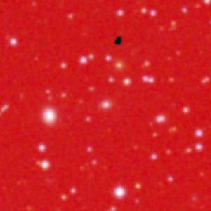 Optical image for SWIFT J0250.2+4650