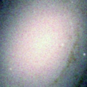 Optical image for SWIFT J0955.8+6905