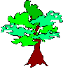 regular tree