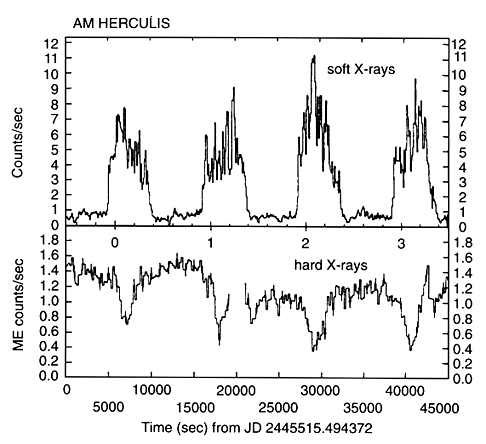 X-ray light curves of AM Her