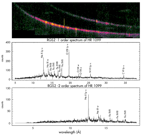 XMM-Newton spectrum of HR 1099